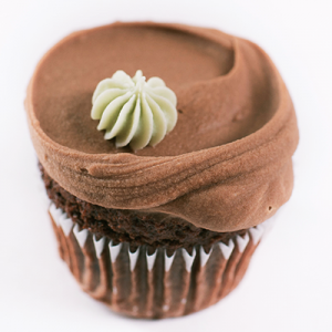 Vegan chocolate chip cupcake with chocolate frosting
